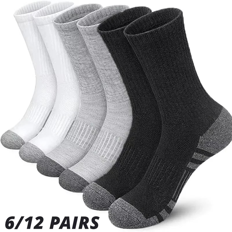 Athletic Cushion Crew Socks